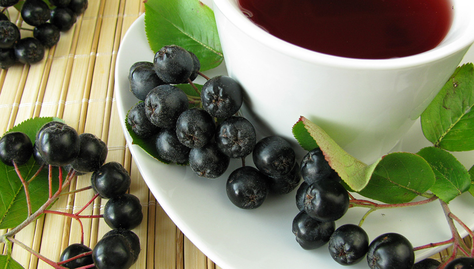 Aronia Apfelbeeren